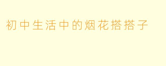 初中生活中的烟花搭搭子