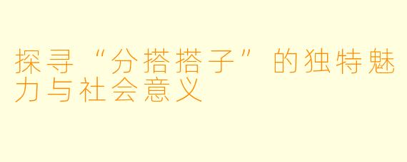 探寻“分搭搭子”的独特魅力与社会意义