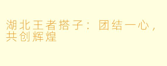 湖北王者搭子：团结一心，共创辉煌
