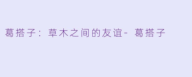 葛搭子：草木之间的友谊-葛搭子
