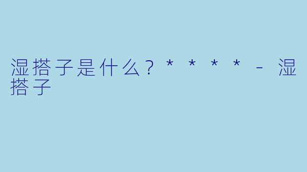湿搭子是什么？****