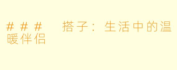 ### 搭子：生活中的温暖伴侣