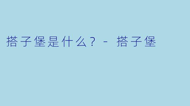 搭子堡是什么？
