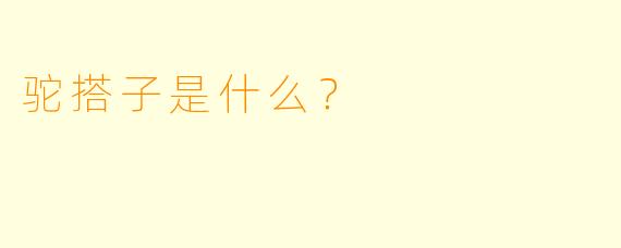 驼搭子是什么？  