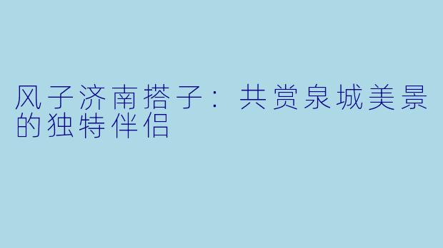 风子济南搭子：共赏泉城美景的独特伴侣