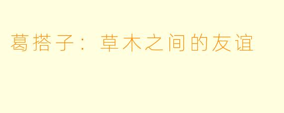葛搭子：草木之间的友谊