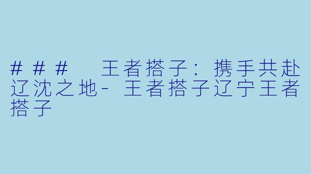 ### 王者搭子:携手共赴辽沈之地