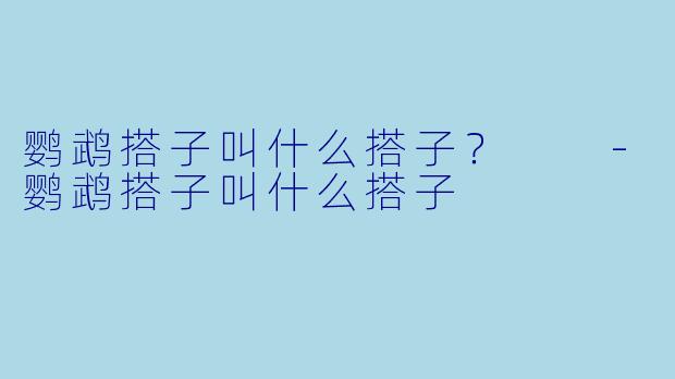 鹦鹉搭子叫什么搭子？  
