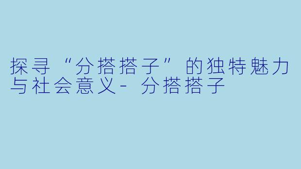 探寻“分搭搭子”的独特魅力与社会意义-分搭搭子
