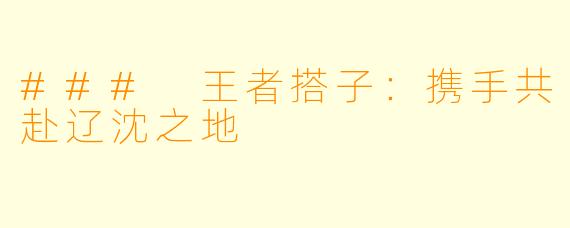 ### 王者搭子：携手共赴辽沈之地