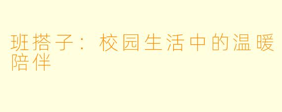 班搭子：校园生活中的温暖陪伴