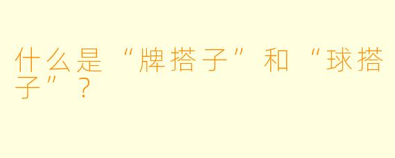 什么是“牌搭子”和“球搭子”？  
