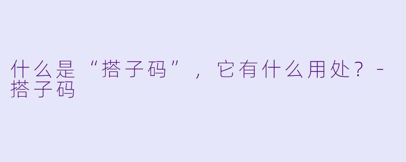 什么是“搭子码”，它有什么用处？