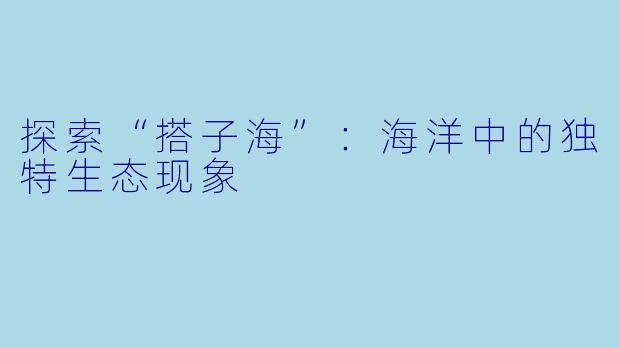 探索“搭子海”：海洋中的独特生态现象