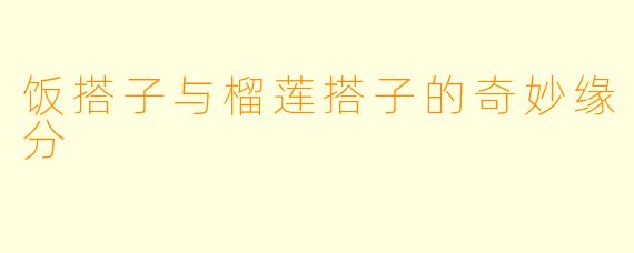 饭搭子与榴莲搭子的奇妙缘分