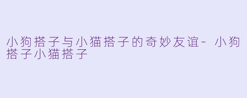 小狗搭子与小猫搭子的奇妙友谊-小狗搭子小猫搭子
