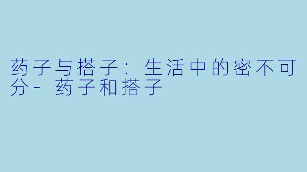 药子与搭子：生活中的密不可分-药子和搭子