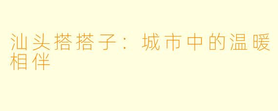 汕头搭搭子:城市中的温暖相伴