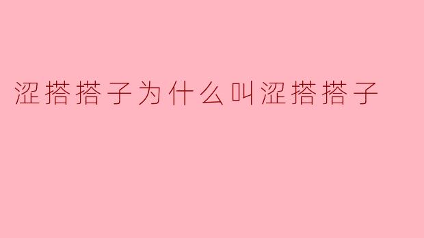 涩搭搭子为什么叫涩搭搭子