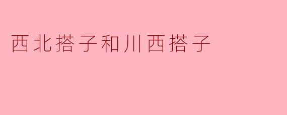西北搭子和川西搭子