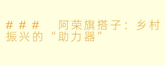 ### 阿荣旗搭子：乡村振兴的“助力器”