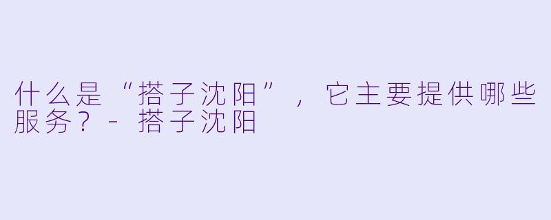 什么是“搭子沈阳”,它主要提供哪些服务?