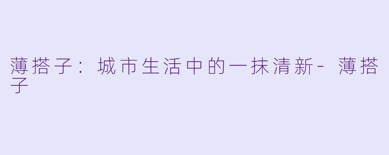 薄搭子：城市生活中的一抹清新-薄搭子