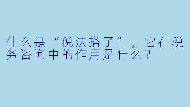 什么是“税法搭子”,它在税务咨询中的作用是什么?