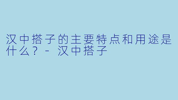 汉中搭子的主要特点和用途是什么？