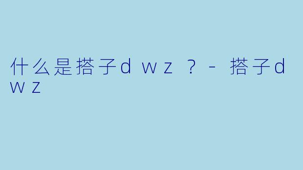 什么是搭子dwz？