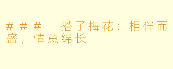 ### 搭子梅花：相伴而盛，情意绵长