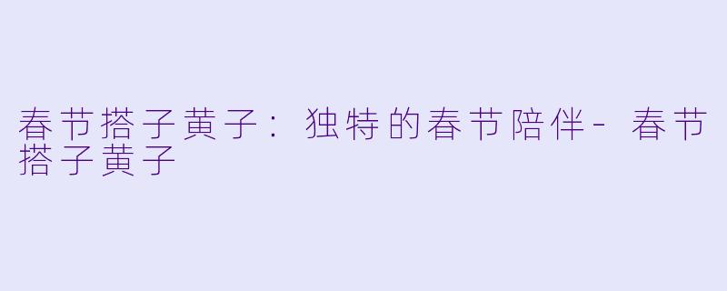 春节搭子黄子：独特的春节陪伴-春节搭子黄子