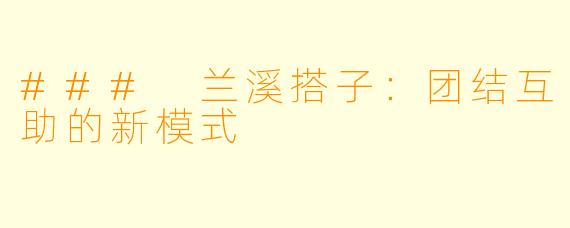 ### 兰溪搭子：团结互助的新模式