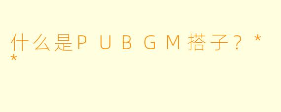 什么是PUBGM搭子？**