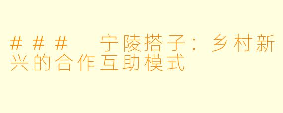 ### 宁陵搭子：乡村新兴的合作互助模式