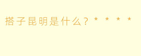 搭子昆明是什么？****