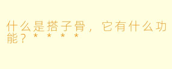 什么是搭子骨，它有什么功能？****