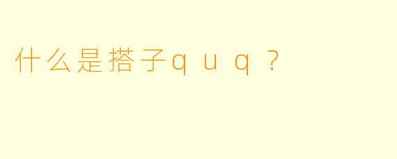 什么是搭子quq？