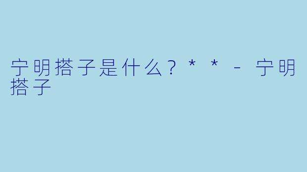 宁明搭子是什么？**-宁明搭子