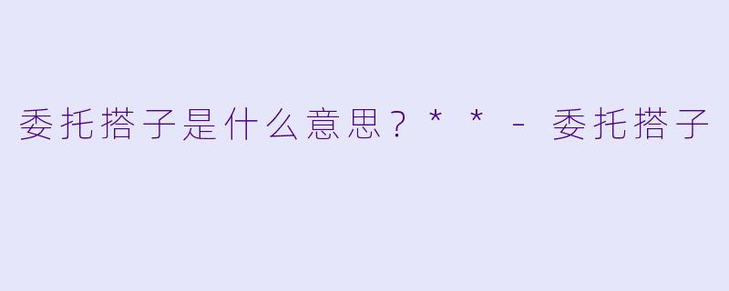 委托搭子是什么意思?**