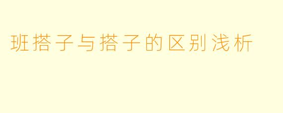 班搭子与搭子的区别浅析