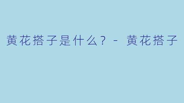 黄花搭子是什么？