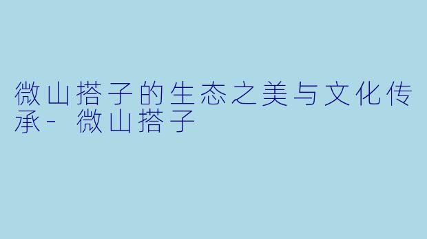微山搭子的生态之美与文化传承-微山搭子