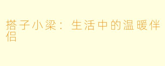 搭子小梁：生活中的温暖伴侣