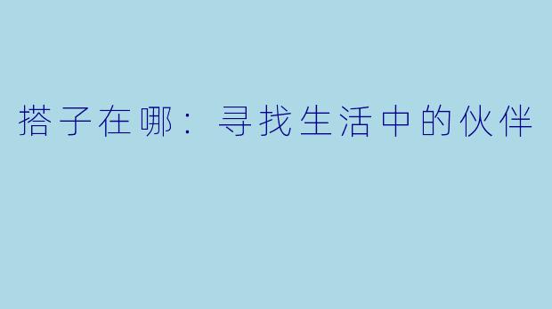 搭子在哪:寻找生活中的伙伴