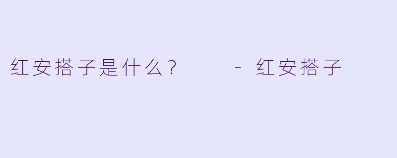 红安搭子是什么？  