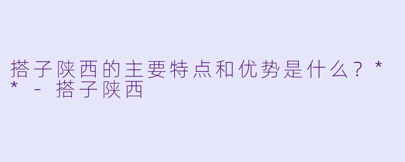 搭子陕西的主要特点和优势是什么?**