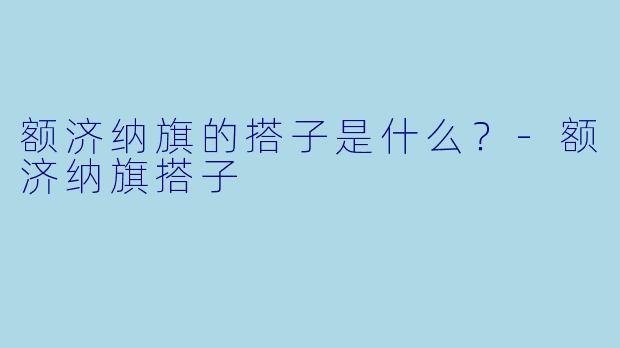 额济纳旗的搭子是什么？