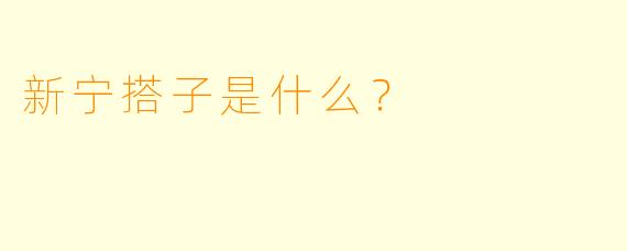 新宁搭子是什么？