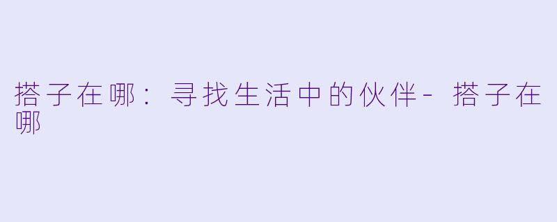 搭子在哪：寻找生活中的伙伴-搭子在哪